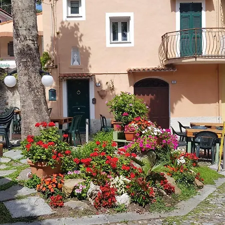 Bella Vista Sopra Il Porto! Lejlighed